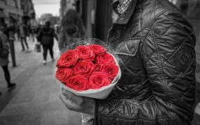 Holding, Red Roses, Romance, Love, Man, Couple, People